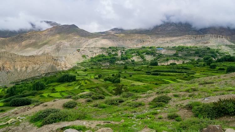 Green Valley In Annapurna Circuit Trekking Nepal Mustang Region