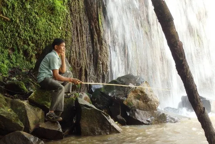 Jungle Trekking In Cambodia11