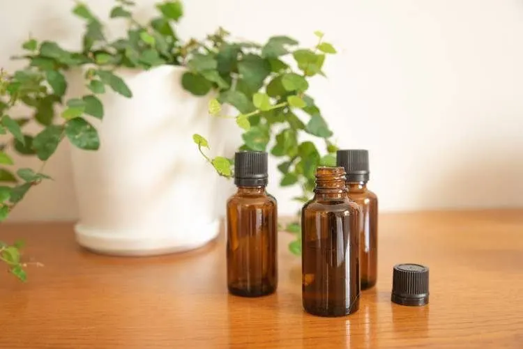 Best Products to reduce Plastic Waste while Traveling 7