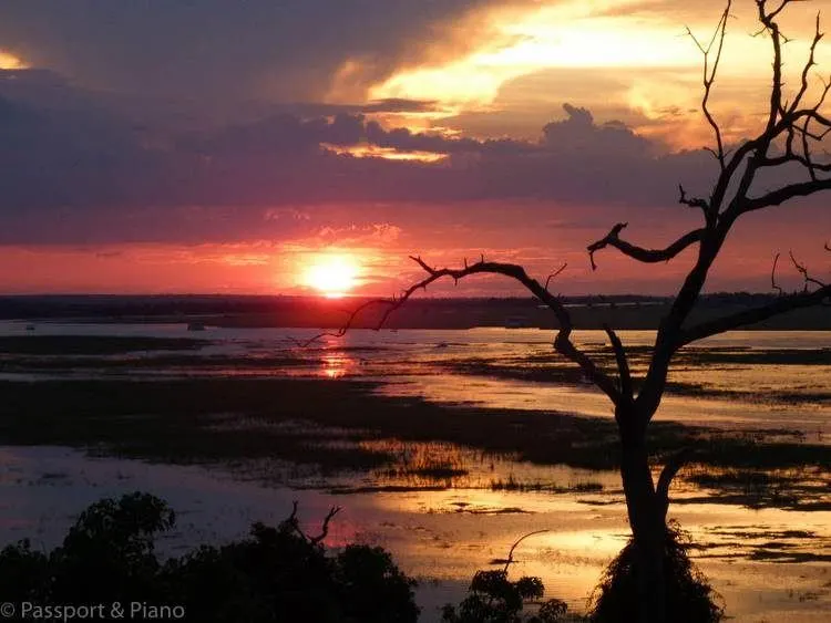 Beste Botswana-Safaris