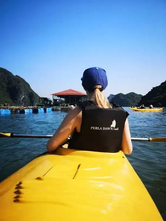 Beste Halong Bay Cruises