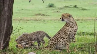 best safari in tanzania