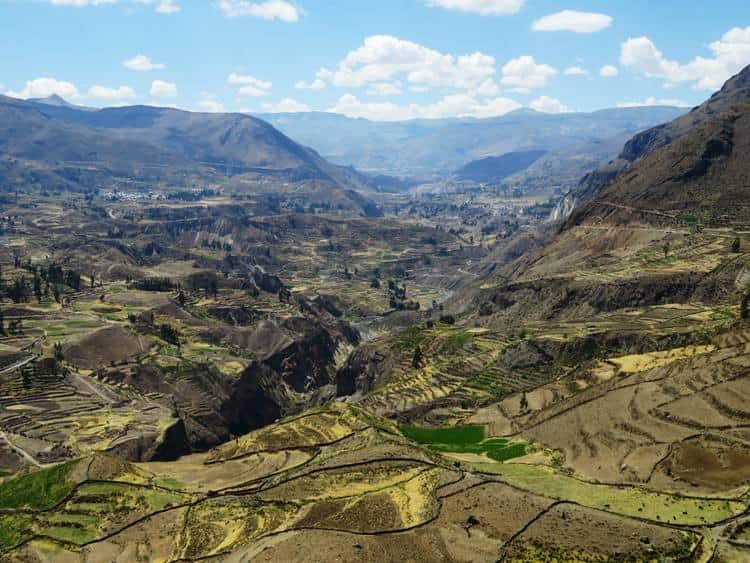Trek au Canyon de Colca au Pérou