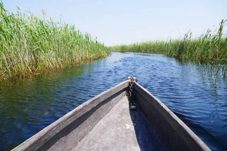 Okavango Delta Botswana