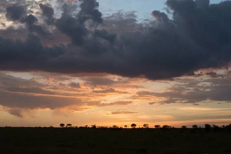 Serengeti-Tansania
