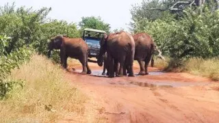 visit botswana