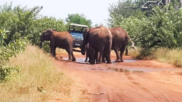 Bezoek Botswana