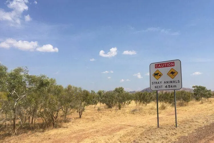 SinalizaçãO RodoviáRia Para Animais Na AustráLia Dois Viajantes Altos Como Viver Numa Carrinha