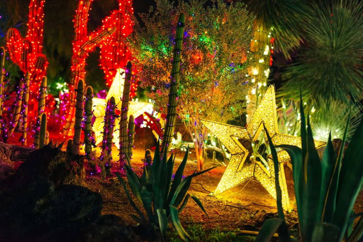 Jardin Botanique De Cactus Las Vegas2