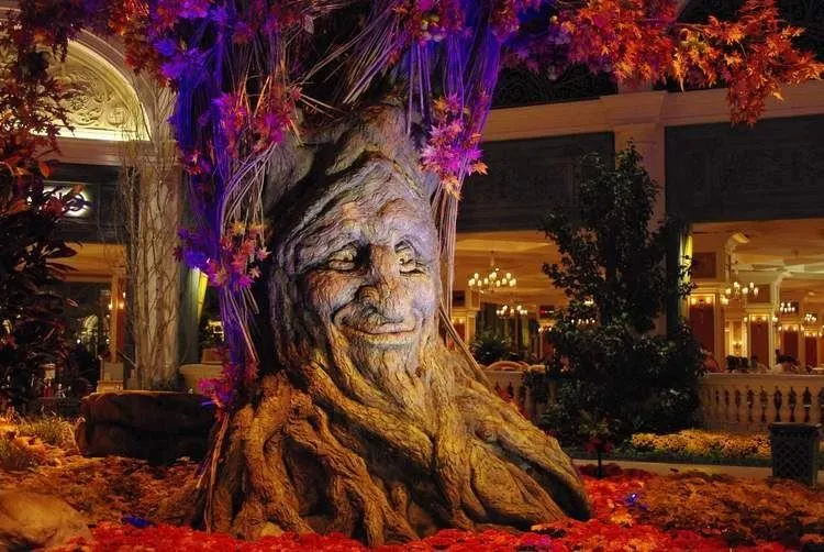 95 Kostenlose Und Günstige Las Vegas Sehenswürdigkeiten 4 Bellagio Cheap Vegas Activities