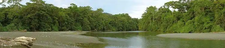 Las Mejores Cosas Que Hacer En Corcovado Costa Rica 1 Claro_River._Corcovado_National_Park._Costa_Rica