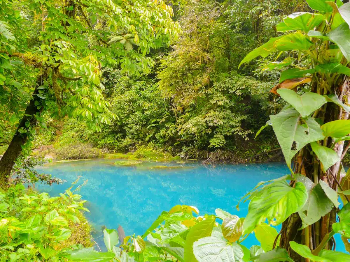 Day Trip To Rio Celeste