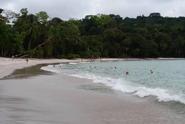 Spiaggia Di Manuel Antonio