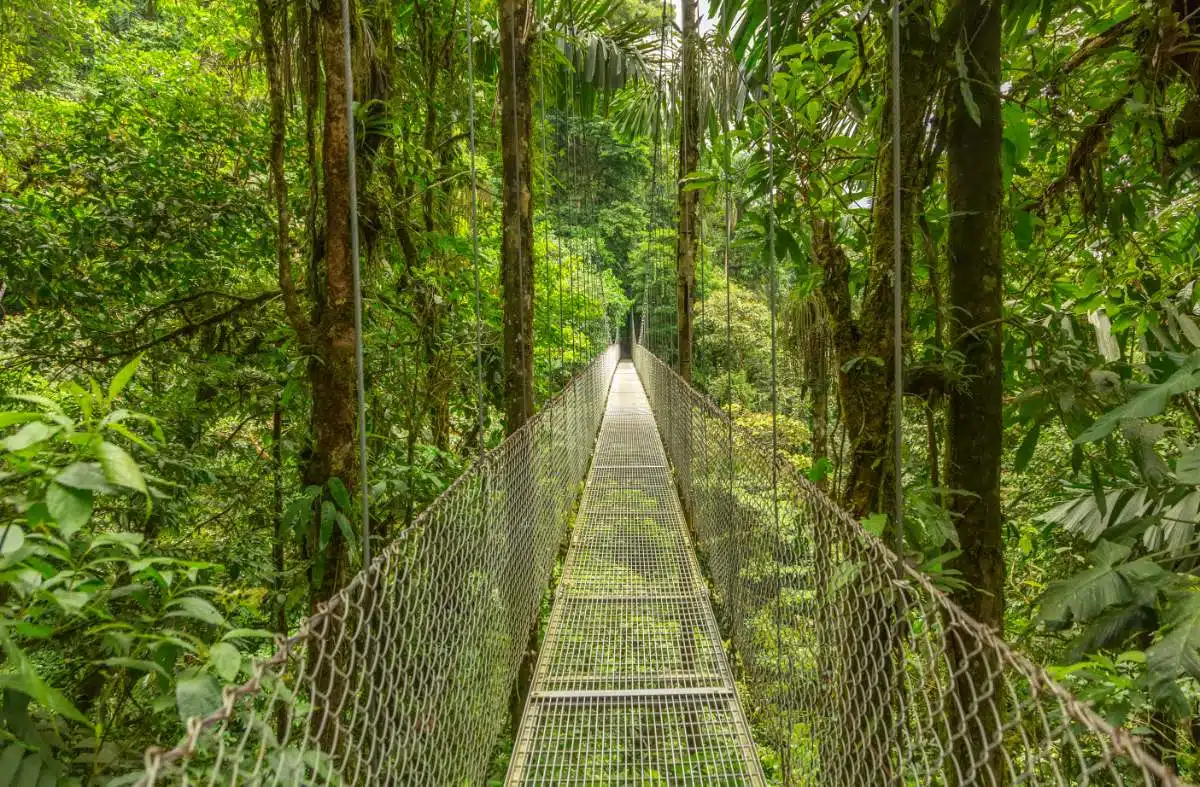 Mistico Hanging Bridges