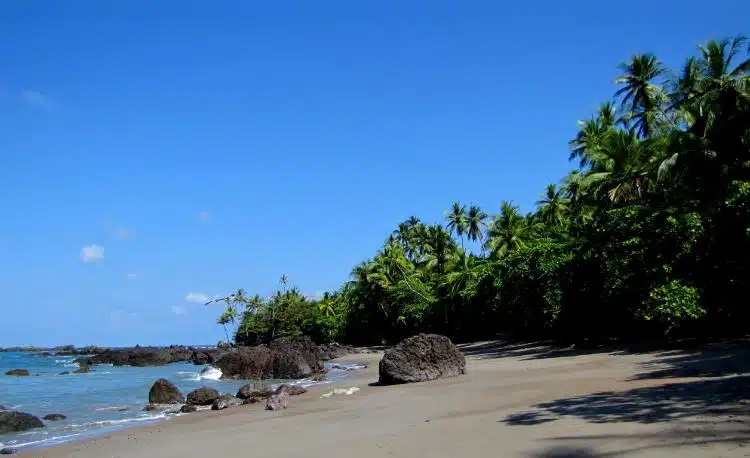 Las Mejores Cosas Que Hacer En Corcovado Costa Rica 14 Parque_Nacional_Corcovado