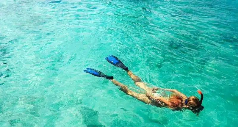 Snorkeling In Corcovado Costa Rica