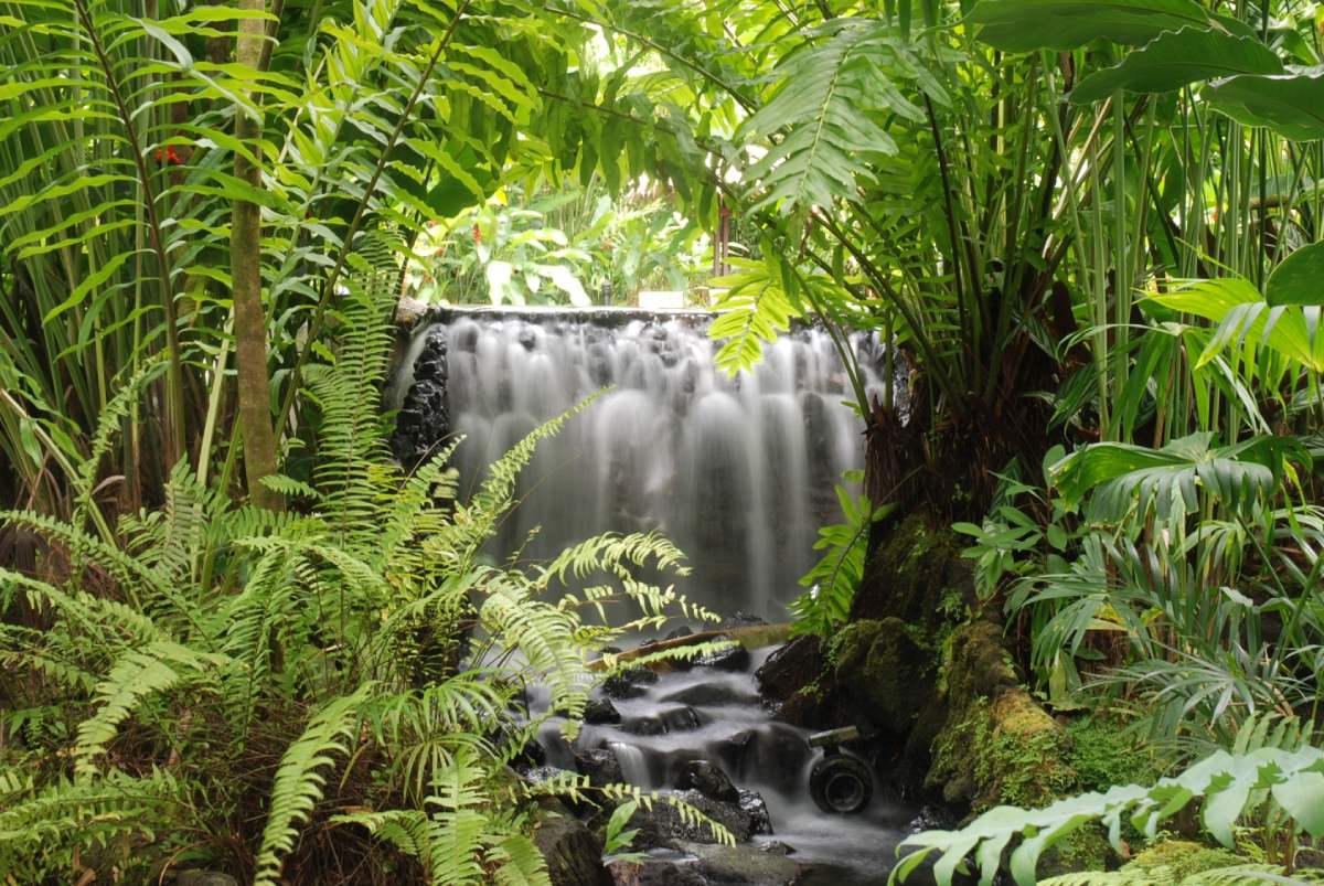 Arenal Hot Springs