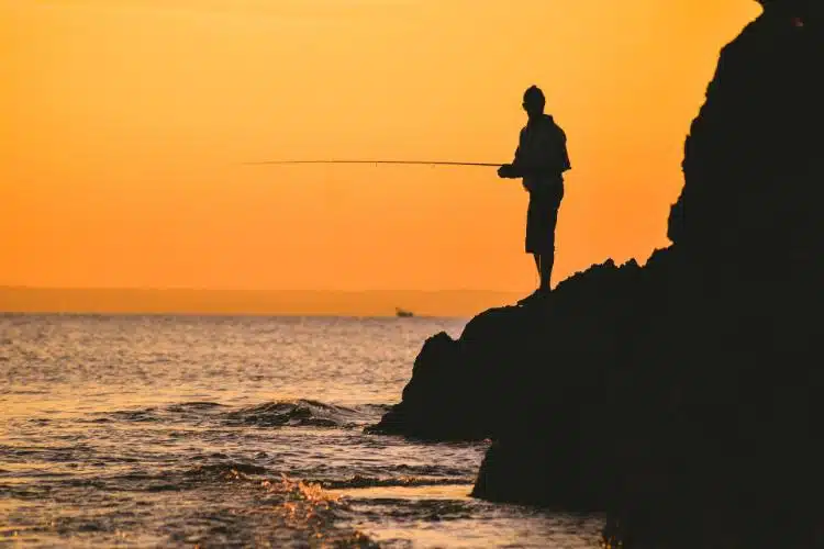 Las Mejores Cosas Que Hacer En Corcovado Costa Rica 10 Fishing Costa Rica
