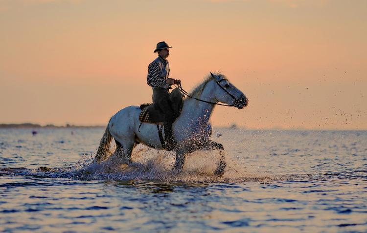 Horseback Riding Corcovado Costa Rica
