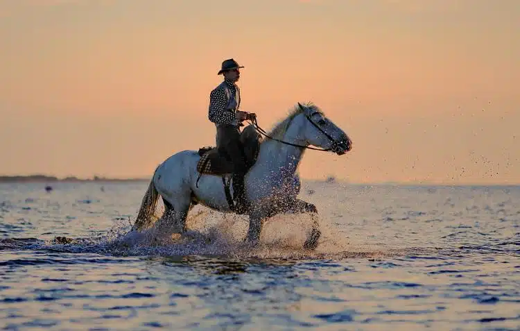 Las Mejores Cosas Que Hacer En Corcovado Costa Rica 11 Horseback Riding Corcovado Costa Rica