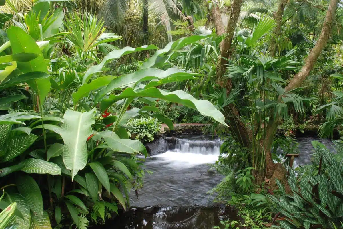 Hot Springs Costa Rica Arenal