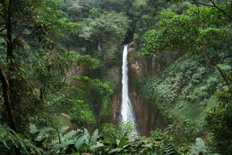 Dinge, Die Man In La Fortuna Costa Rica Wasserfall Tun Kann