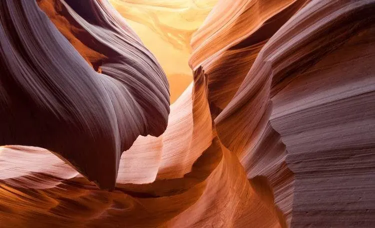 The most popular Las Vegas Tours 34