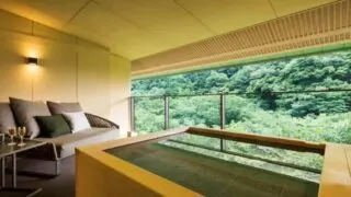 Hoshino Resorts KAI Hakone Western style room with outdoor bath and River View RA small