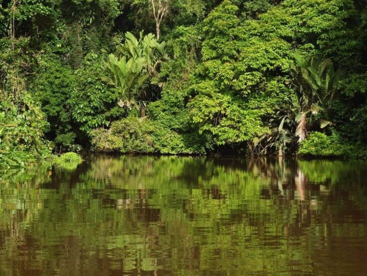 How To Get From San Jose To Tortuguero1