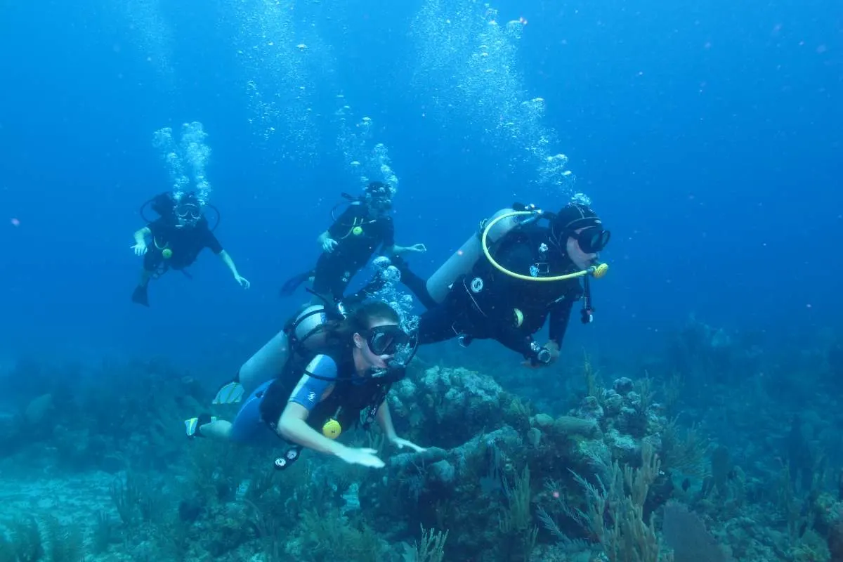 Diving In Tamarindo