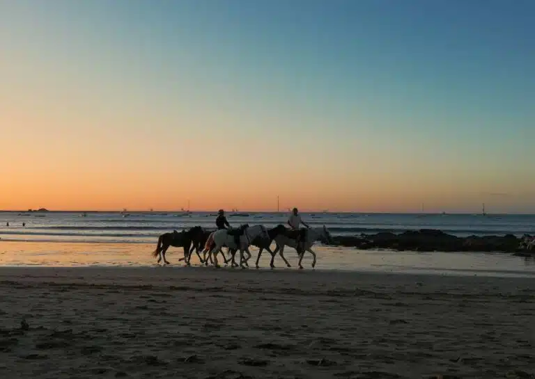 Horseback Riding Tamarindo Costa Rica