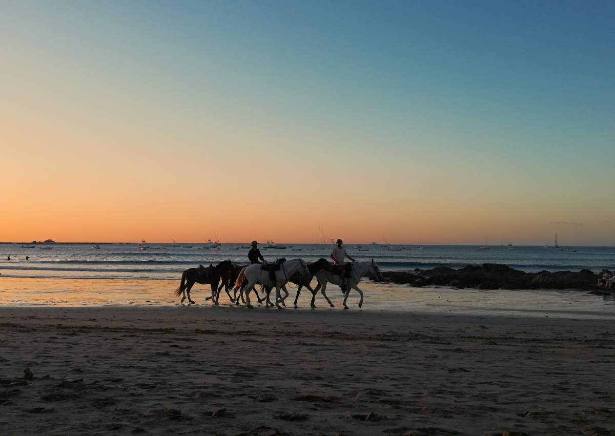 Montar A Caballo Tamarindo Costa Rica