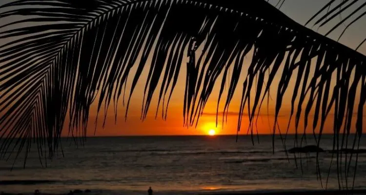 Sunset At The Beach In Costa Rica