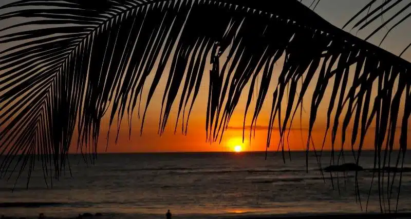 Sunset At The Beach In Costa Rica