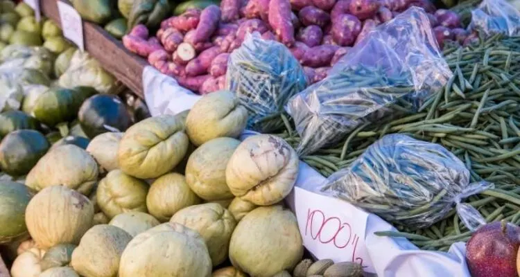 Farmer Market Costa Rica