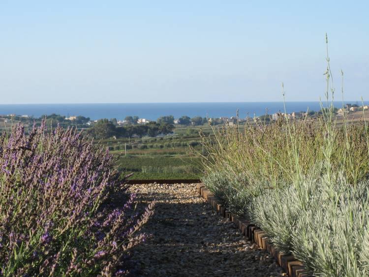 Las Camas De Hierbas Rodean El Hotel