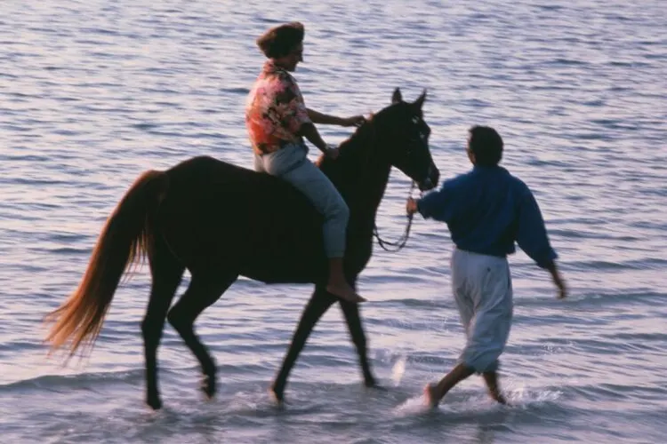 Die 15 coolsten Aktivitäten in Puerto Viejo, Costa Rica 9 Horseback Riding at Puerto Viejo Costa Rica Beach