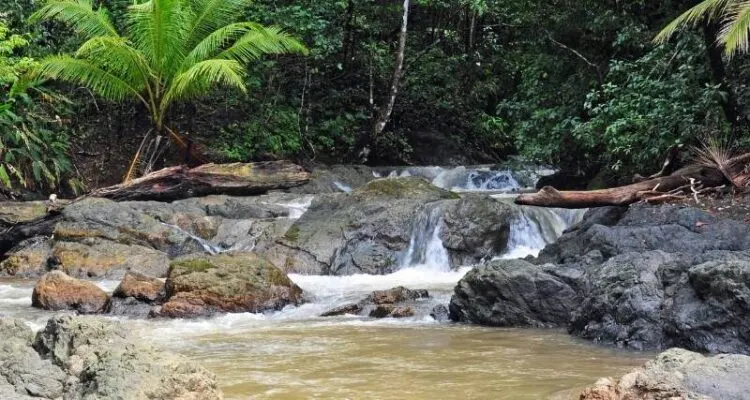 How To Get From San Jose To Corcovado Costa Rica2