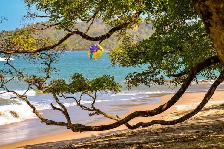 Cómo llegar de Monteverde a Manuel Antonio