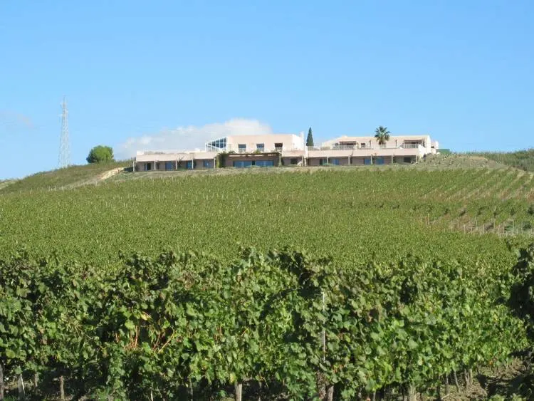 La Foresteria Planeta Estate Surrounded By Vines