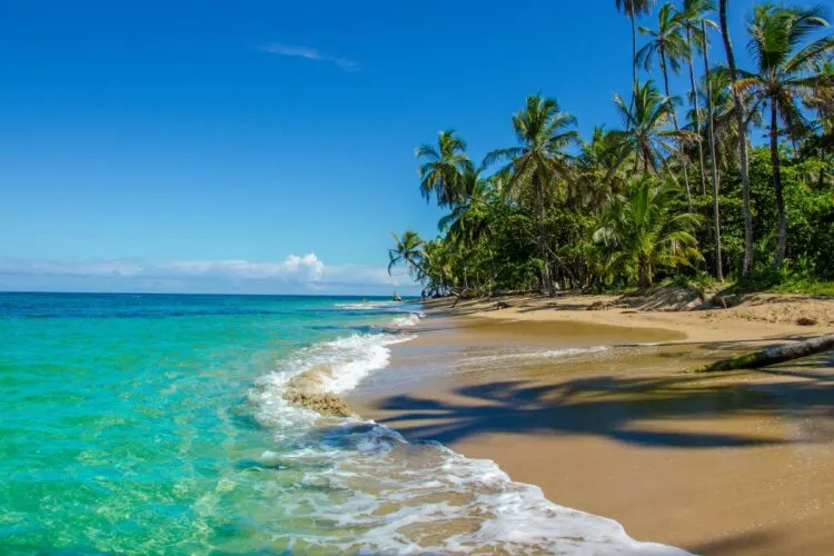 puerto viejo costa rica things to do puerto viejo costa rica things to do