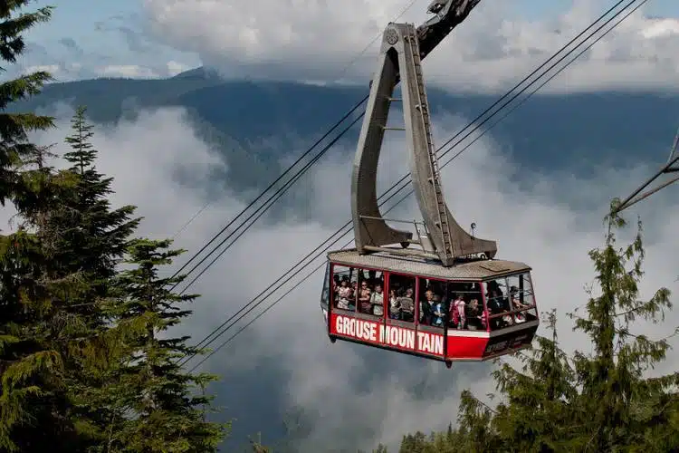 Ultimate List of the Best Vancouver Tours 11 Ultimate List of the Best Vancouver Tours2