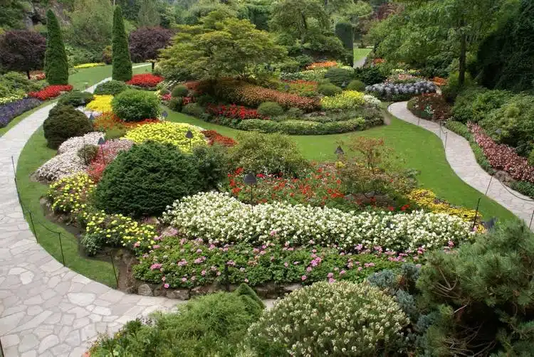Ultimate List of the Best Vancouver Tours 13 Ultimate List of the Best Vancouver Tours3