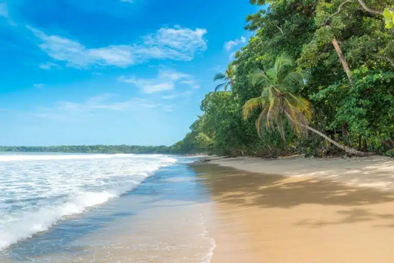 The Best Costa Rica National Parks