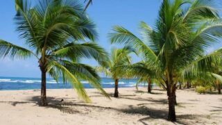 What to do in Puerto Viejo