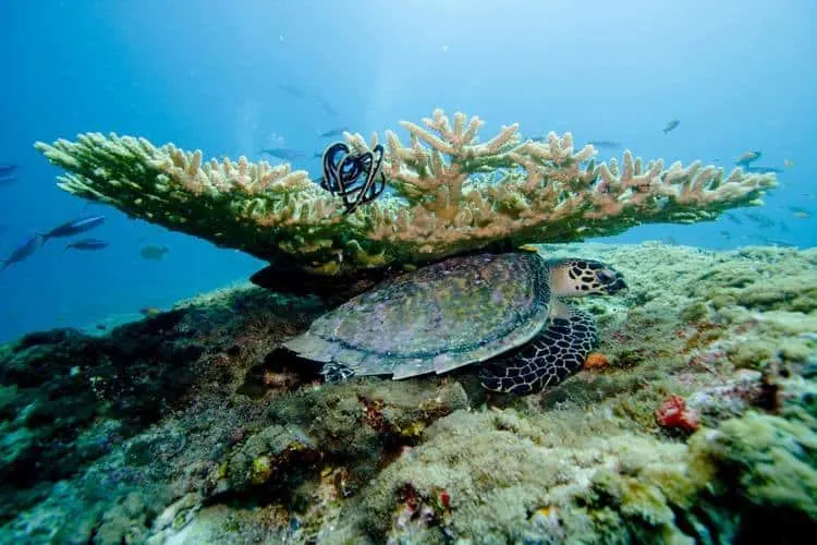 Wo liegen die Malediven? 6 Where are the Maldives located