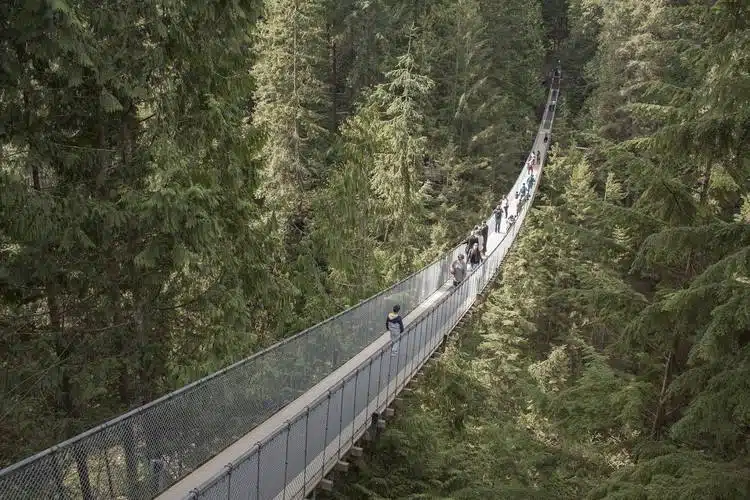 Ultimate List of the Best Vancouver Tours 7 capilano-suspension-bridge-vancouver
