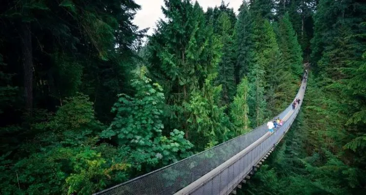 Capilano Suspension Bridge Vancouver