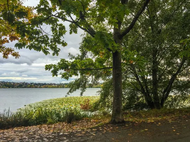 Greenlake_Phinney-1Things To Do In Seatle