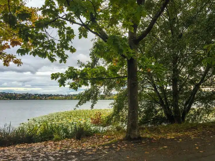 Greenlake_Phinney-1-Dingen Om Te Doen In Seatle